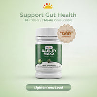OSwell Barley Maxx | Daily Greens & Nutritional Support